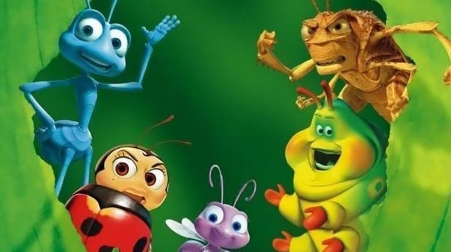 bugs