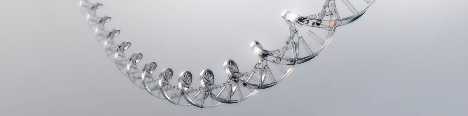 dna